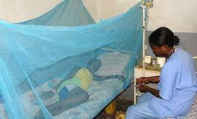 Paludisme : Près de la moitié des femmes enceintes ont reçu en 2022 le traitement préventif intermittent